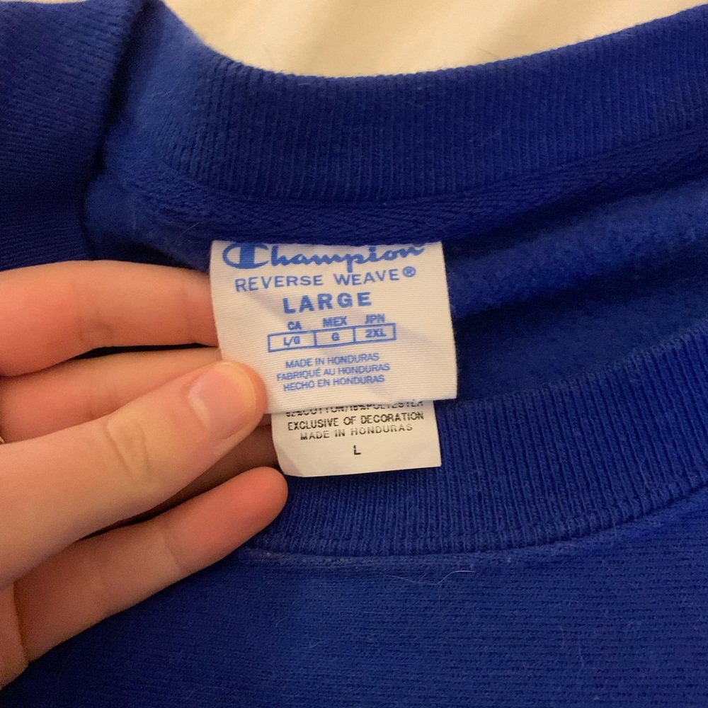 Blue champion sweater